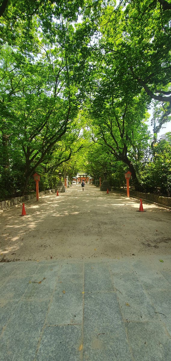 うらら🐉💛🥀💤 on Twitter 