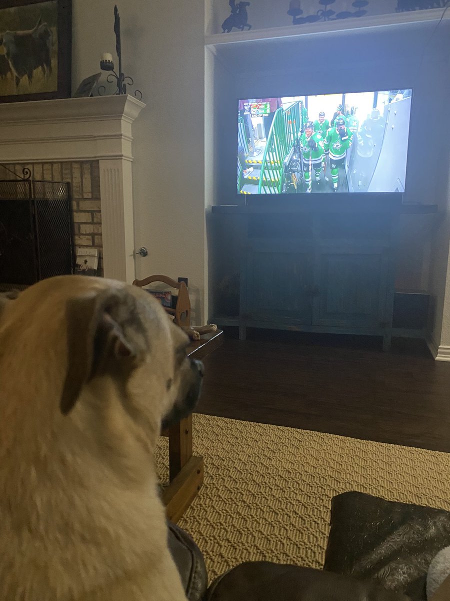 flyawaystew tweet media