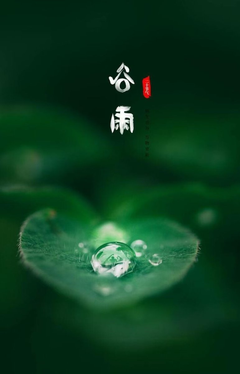 gm413119's tweet photo. 谷雨春光晓，山川黛色青。 https://t.co/q0zS7OdavI