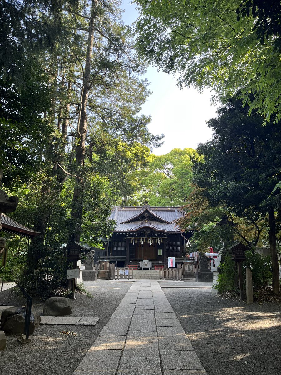 asamisan0305's tweet photo. #Day599

今日は走らずにウォーキング！3.5キロ
朝から神社参拝⛩
気持ち良かったー！
新芽のにおい、良い季節です。 https://t.co/zhjqFhg1Qw