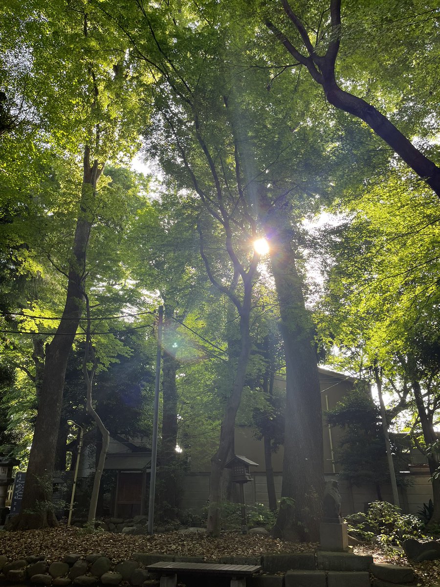 asamisan0305's tweet photo. #Day599

今日は走らずにウォーキング！3.5キロ
朝から神社参拝⛩
気持ち良かったー！
新芽のにおい、良い季節です。 https://t.co/zhjqFhg1Qw