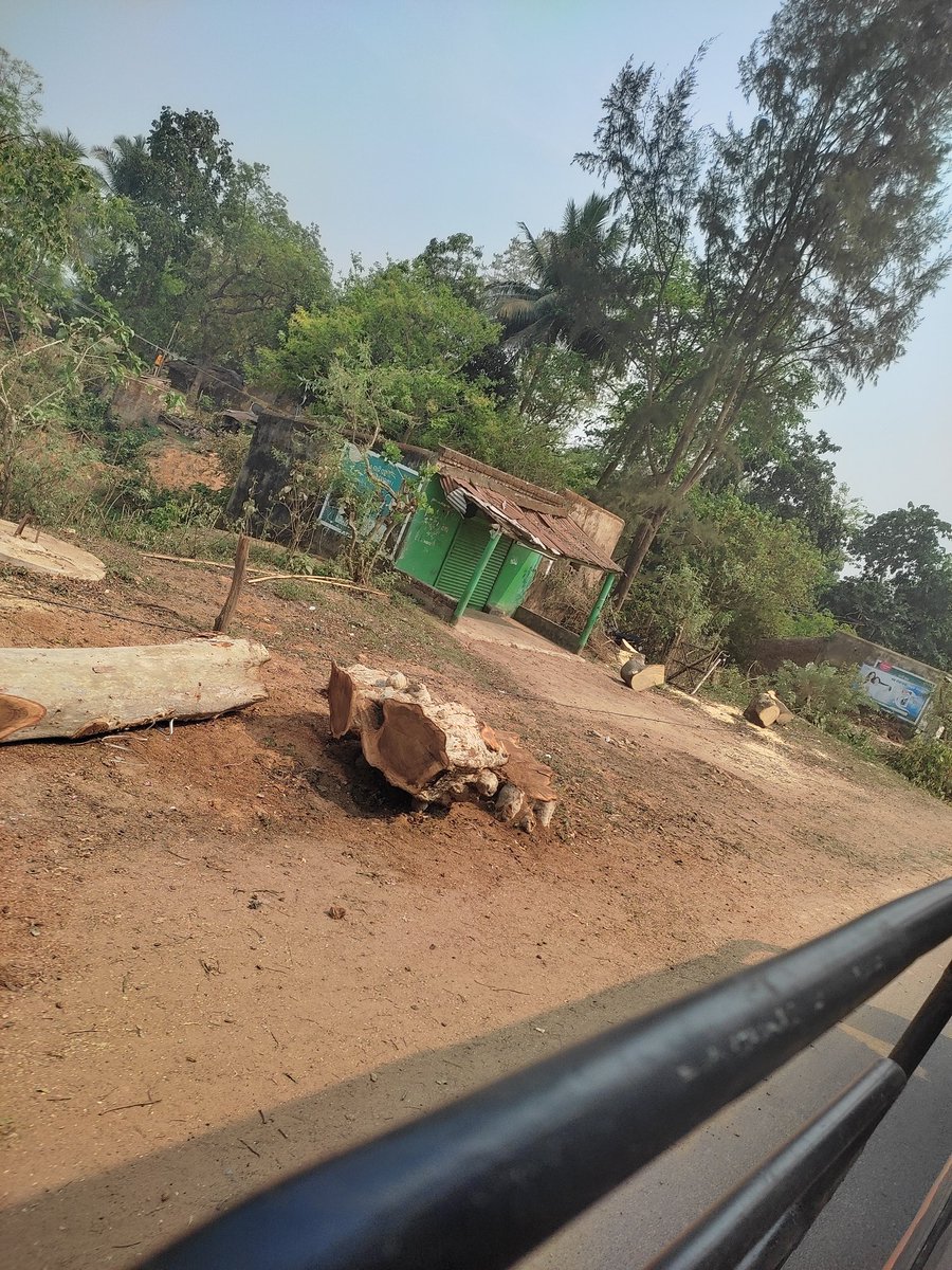 DevuIND's tweet photo. Why no one is talking about this in Balasore? 
These are pictures from Bls town - Fuladi road  , all the huge trees have been cut in the name of road expansion not a single tree is left. 
That perticular road used to have hundreds of trees now it looks like desert. https://t.co/WQiTuIvXJY
