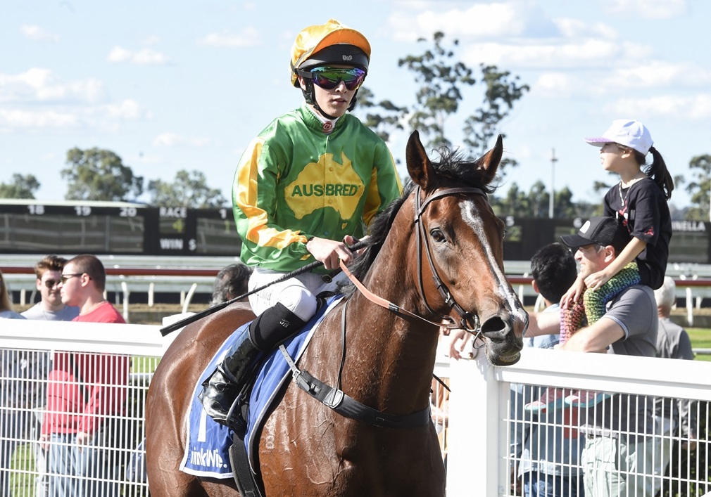 racing_nsw's tweet photo. "If she can run the distance, it looks a nice for her.”

Brad Widdup has one eye on the Hawkesbury track conditions as he prepares Ausbred Flirt to tackle 1800m for the first time on Saturday. 📸 @Bradley_Photos 

READ: https://t.co/hNFxcuYdIB https://t.co/ETFPSDfCXS
