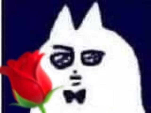 RemiChan15's tweet photo. @ii3bod_SYR this is my new personality from now on https://t.co/iWN9LPRnRq