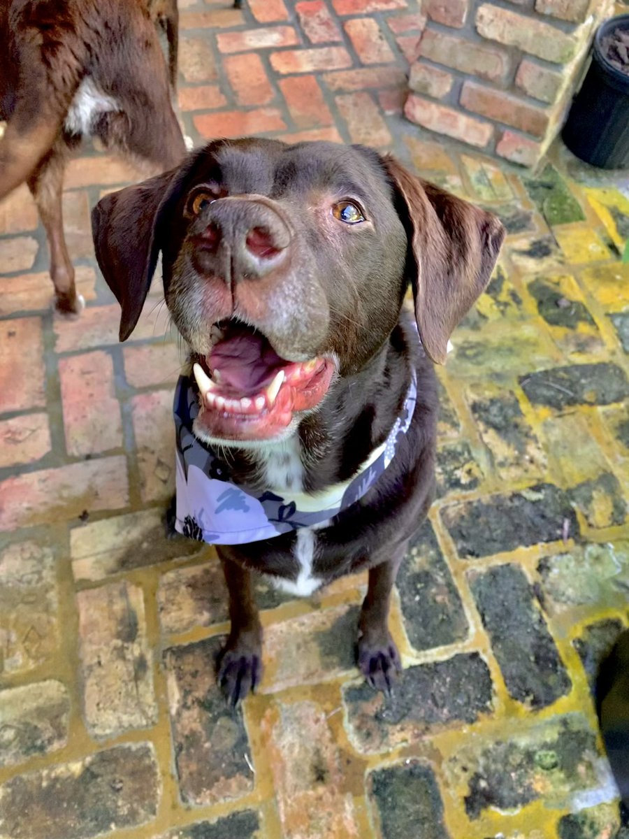 Eden Sunshine tweet media