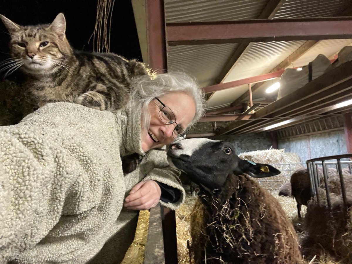 ZwartblesIE's tweet photo. A 4am sheepish selfie with cat Ovenmitt &amp; Judy who belched in my ear as I took this photo https://t.co/uOegtWmvaP