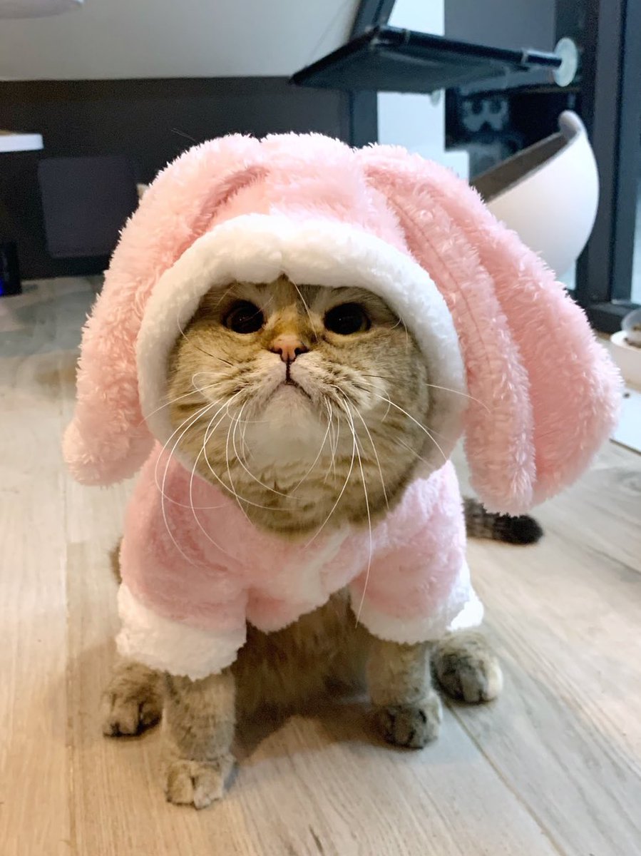 Bonusiie's tweet photo. https://t.co/fZCsR8mZ9v