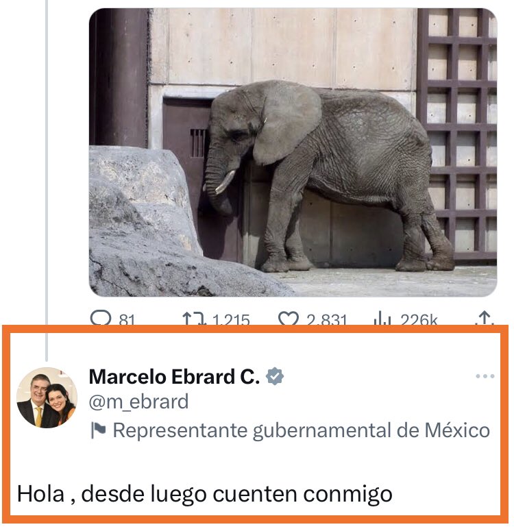 AJaulas's tweet photo. 🔥 ACTUALIZACIÓN 🔥 
Ya respondió nuestro canciller @m_ebrard 
¡Gracias! 

Agradecemos a todos los que firmaron y a los que apoyaron en los twitts. 
Ahora por favor apóyennos en solicitar audiencia. 
#TodoPorELY
#JusticiaParaELY https://t.co/EQndANDiw2