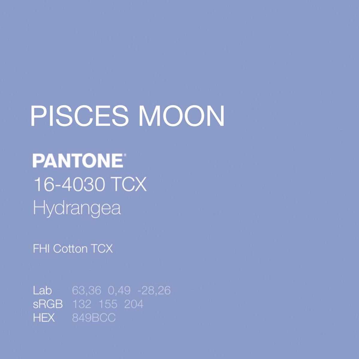 MonadicMeg's tweet image. 