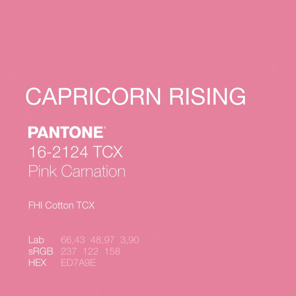 MonadicMeg's tweet image. 