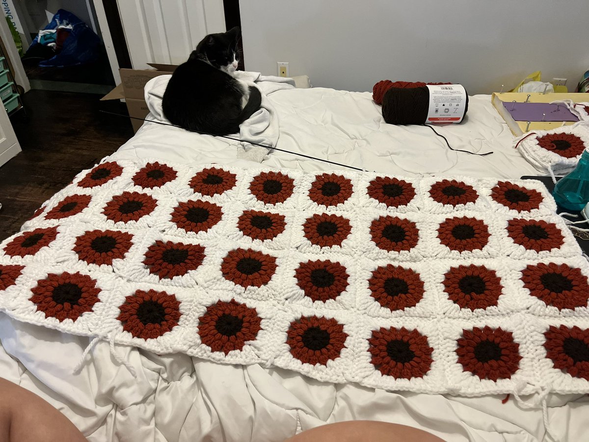 Londzo12's tweet photo. I’m moving to Montreal in 1 week and my only goal (other than somehow getting all my shit across the province) is to finish this sunflower blanket. Spinelli is helping 🌻 https://t.co/L6mgHznkpr