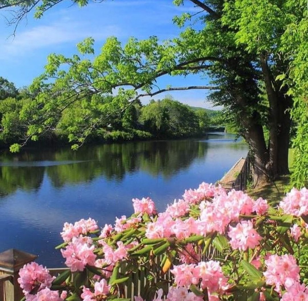 Gufran_tutor's tweet photo. Clean and green..... 
#NatureBeauty #NaturePhotography https://t.co/CtERzcqXLv