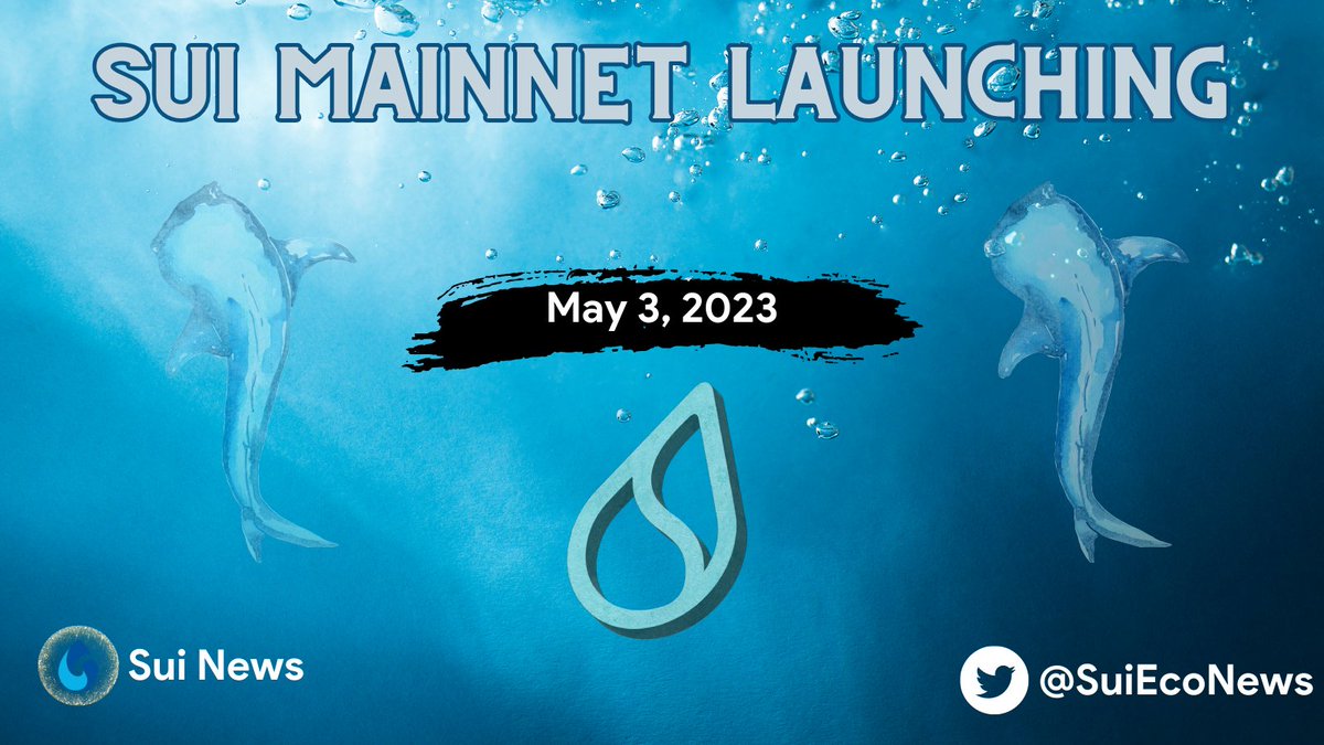 Sui News tweet media