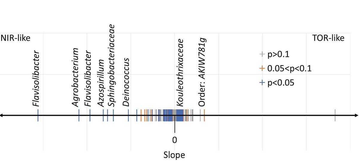 Congratulations to our newest graduate, Patrick Kut,
who successfully defended his MS thesis:

"The Effect of Hydration Pulse Duration on the Diversity and Composition of Soil Microbiomes"

finding who is who in the NIR / TOR continuum