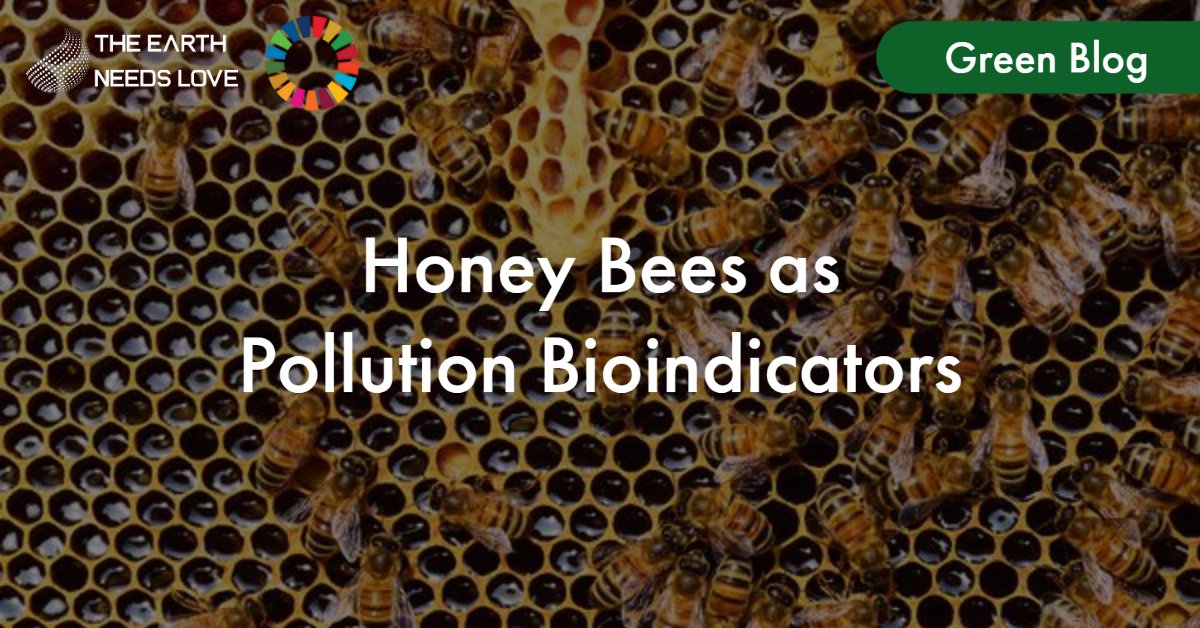 TENL_tweet's tweet photo. π Honey bees are important bioindicators of pollution in the environment. They can detect pollutants in the air and water, which can affect their health and survival. π
Learn more here: https://t.co/q43kdMLOXN #SaveTheBees #EnvironmentalAwareness #PostGeniusApp https://t.co/yRSMxKp5Y2