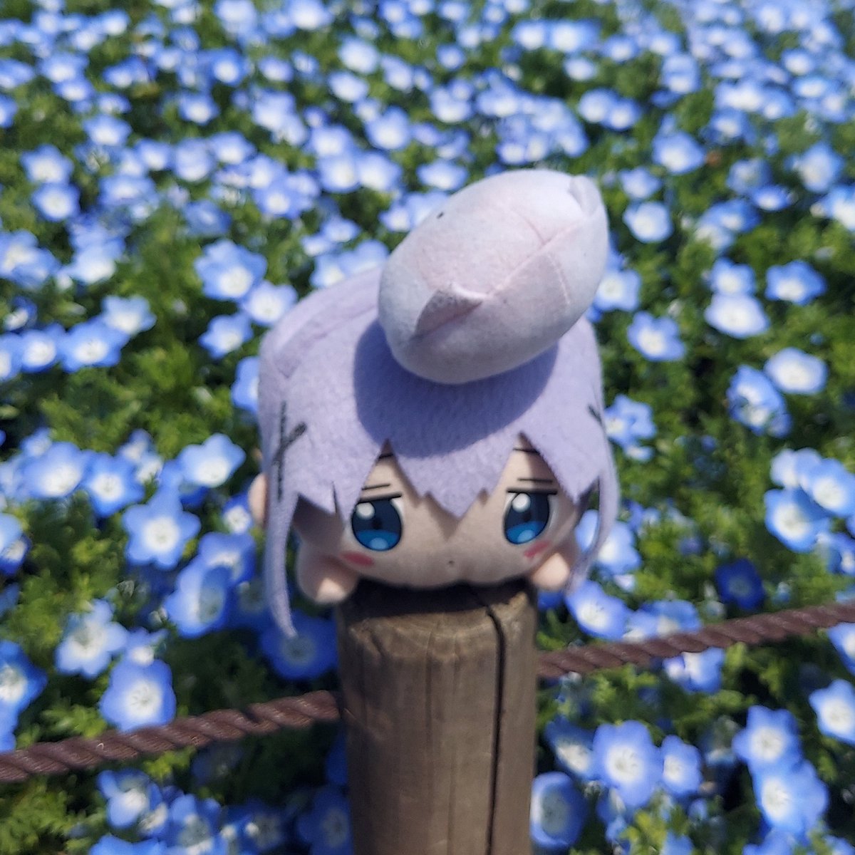 #新しいプロフィール画像