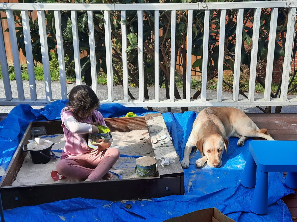Mutsuki252's tweet photo. Luna is protecting my youngest daughter🥰👍
ルナが娘を見守ってる〜🥰
#labrador #DogLovers #withkids #Melbourne #ラブラドールレトリバー #ラブラドール #いぬのいる暮らし #犬好きさんと繋がりたい #メルボルン https://t.co/af4a9vtNi0