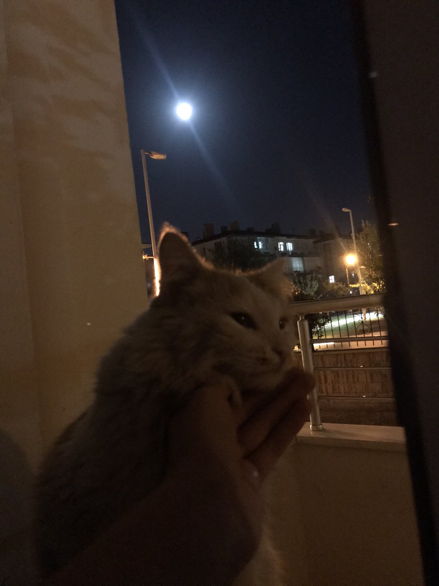 Strangertohrslf's tweet photo. En çok süslüyü özledim.. https://t.co/5jKSaC2IM5