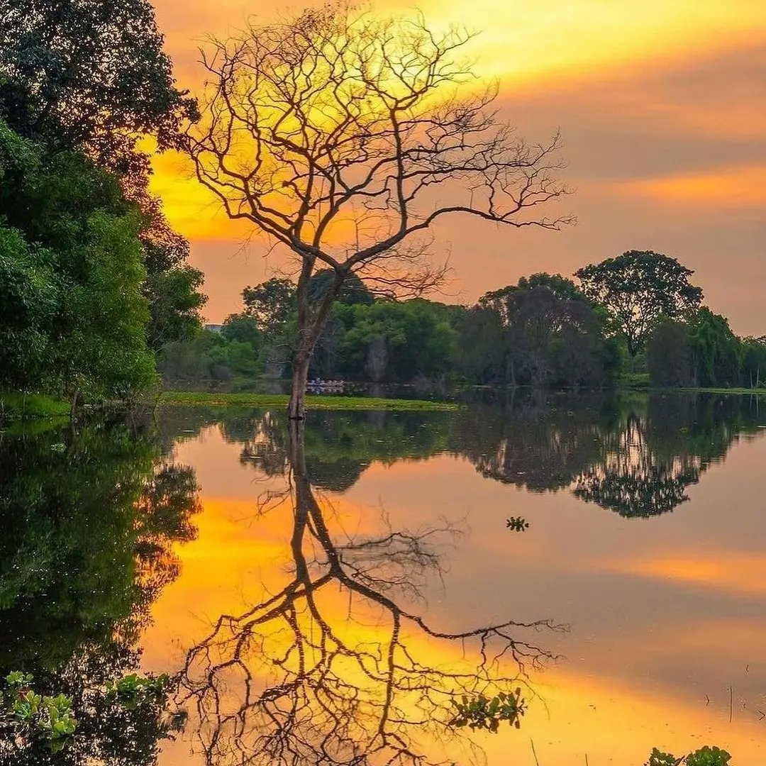 Bountifulsafari's tweet photo. Beautiful Morning 🌞🌅 Let's take a moment to soak in the breathtaking golden sunset hues of Singapore!🌄

📷@jaywu_photography
📍Singapore

#BountifulSafaris #BountifulExperience #BountifulDeals #KenyaAndBeyond #BountifulBeyondKenyaExperience #Singapore #Travel #Adventure https://t.co/XVl7FG62O9