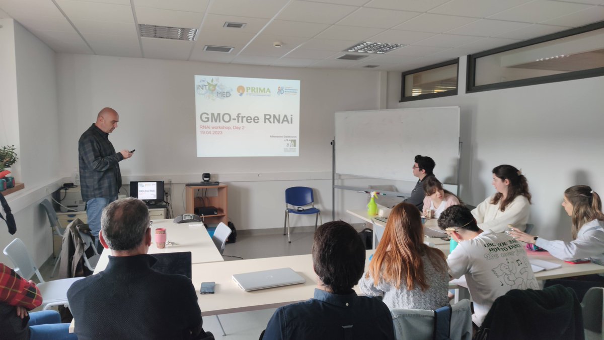 INTOMED_PRIMA tweet media