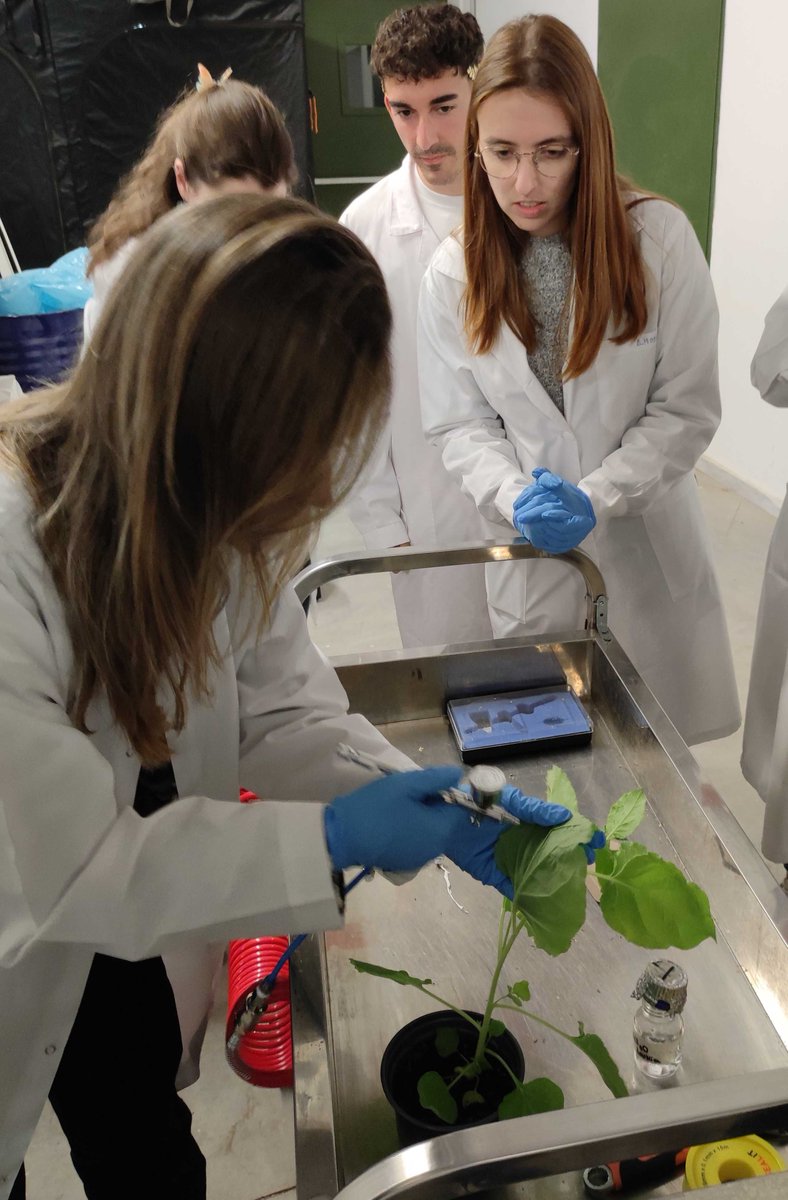 INTOMED_PRIMA tweet media