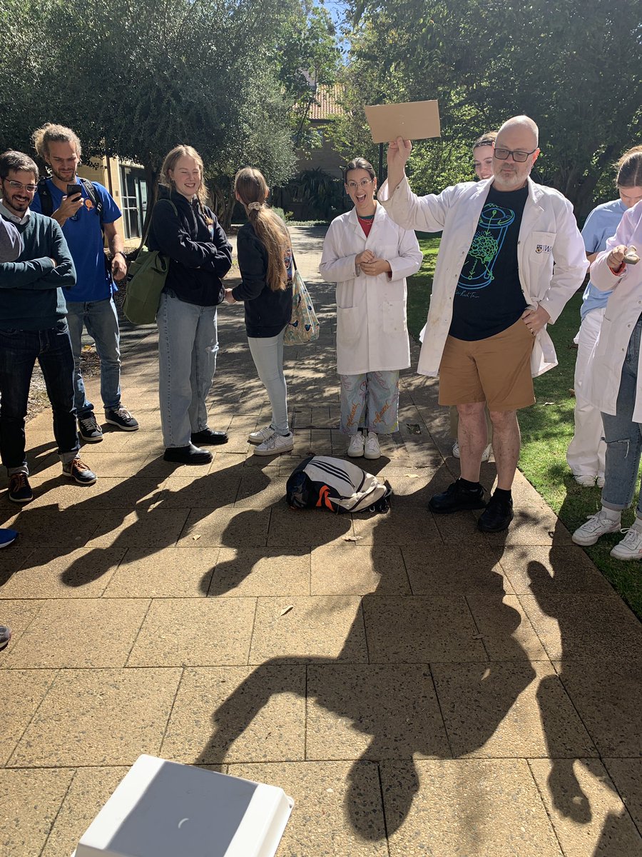 EmieldaY tweet media