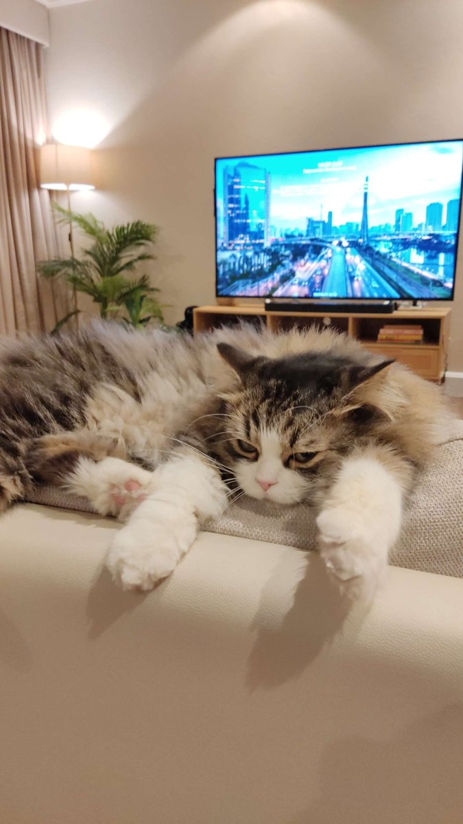 FapianoX's tweet photo. thought i'd bless your feed https://t.co/6gJUJ2vopK