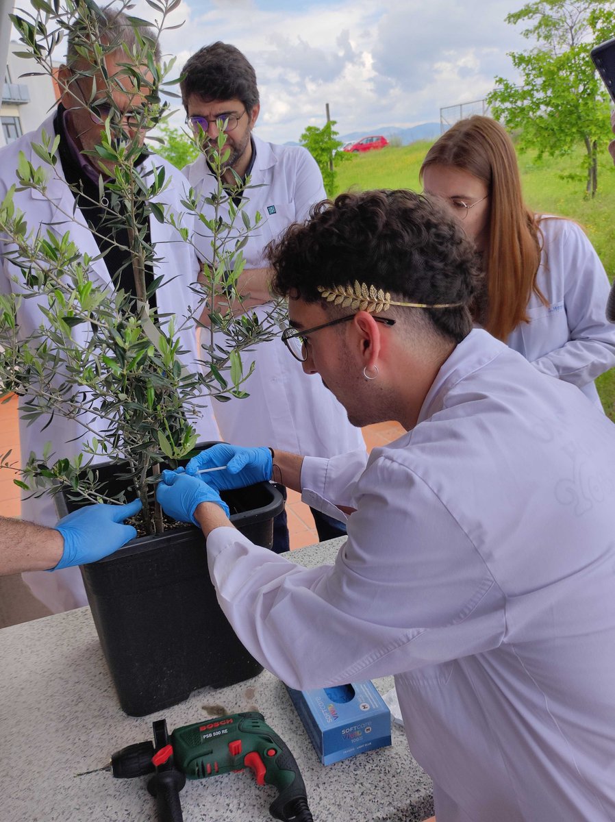 INTOMED_PRIMA tweet media