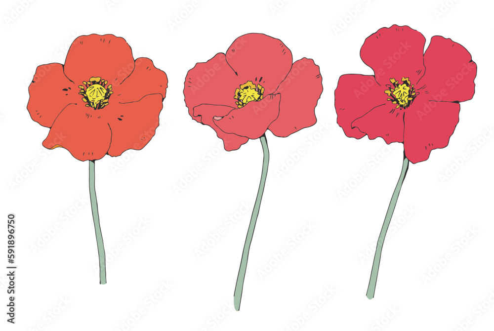 330_mwm's tweet photo. ストックイラスト近況ですが、少しずつAdobe stockの方を増やしていっています。
スケッチっぽいのが最近は多いです。よかったら見ていってね。
https://t.co/f8YScSatq6 https://t.co/TQgPhnO9Zq