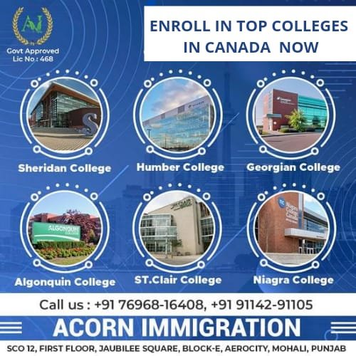 a_immmigration's tweet image. 