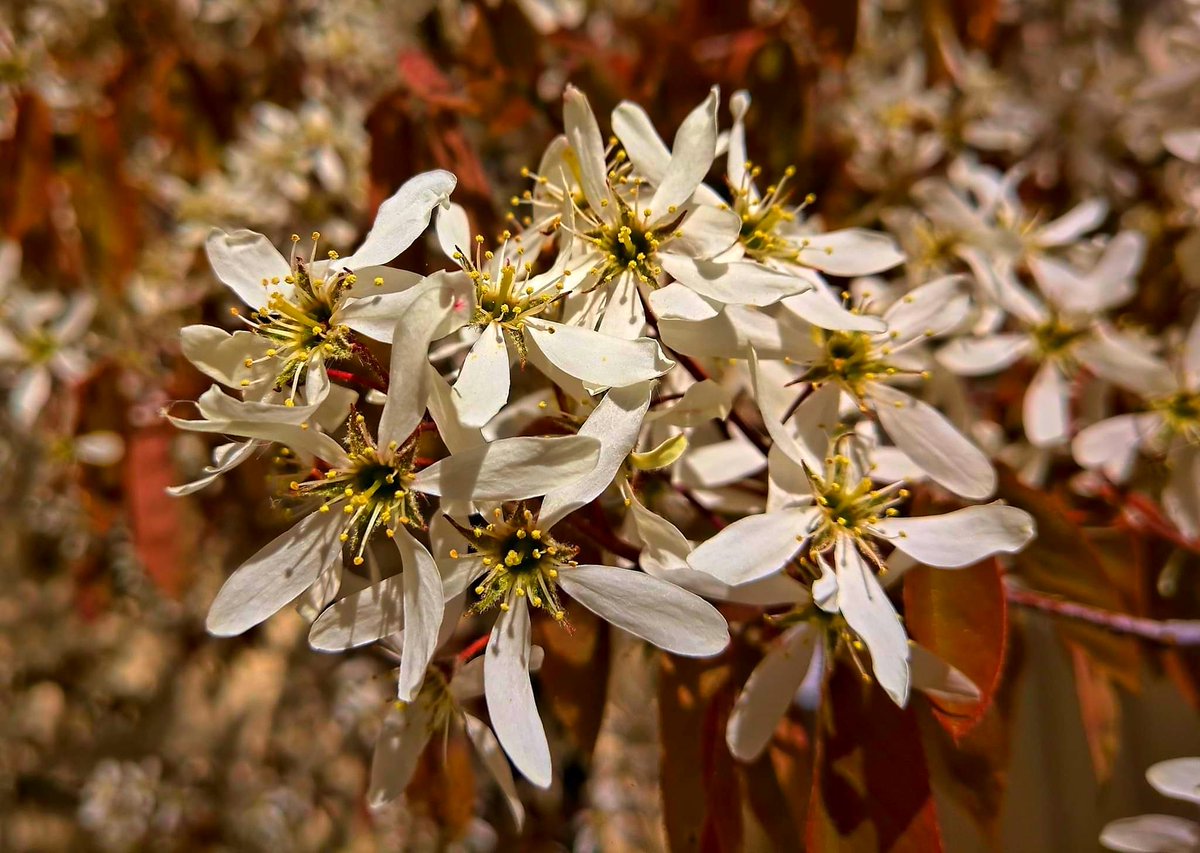 Anthony Hunter (@anthonyhunter69) on Twitter photo #spring 🙂
@Nokia @NokiaMobile <a href="/hmd_global/">HMD Global</a> @HMDGlobal <a href="/TheLightCo/">Light</a> #nature <a href="/teampureview/">TeamPureView</a> <a href="/NokiamobBlog/">NokiaMob</a> #nokia #nokia9 #photography #flower #phoneography #5lenses #fivelenses #capturedbylight #shotonnokia #nokiamobile <a href="/goteborgcom/">Göteborg/Gothenburg</a> #spring 🙂
@Nokia @NokiaMobile <a href="/hmd_global/">HMD Global</a> @HMDGlobal <a href="/TheLightCo/">Light</a> #nature <a href="/teampureview/">TeamPureView</a> <a href="/NokiamobBlog/">NokiaMob</a> #nokia #nokia9 #photography #flower #phoneography #5lenses #fivelenses #capturedbylight #shotonnokia #nokiamobile <a href="/goteborgcom/">Göteborg/Gothenburg</a>