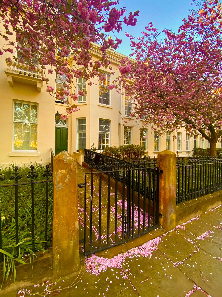 #BlossomWatch #Liverpool