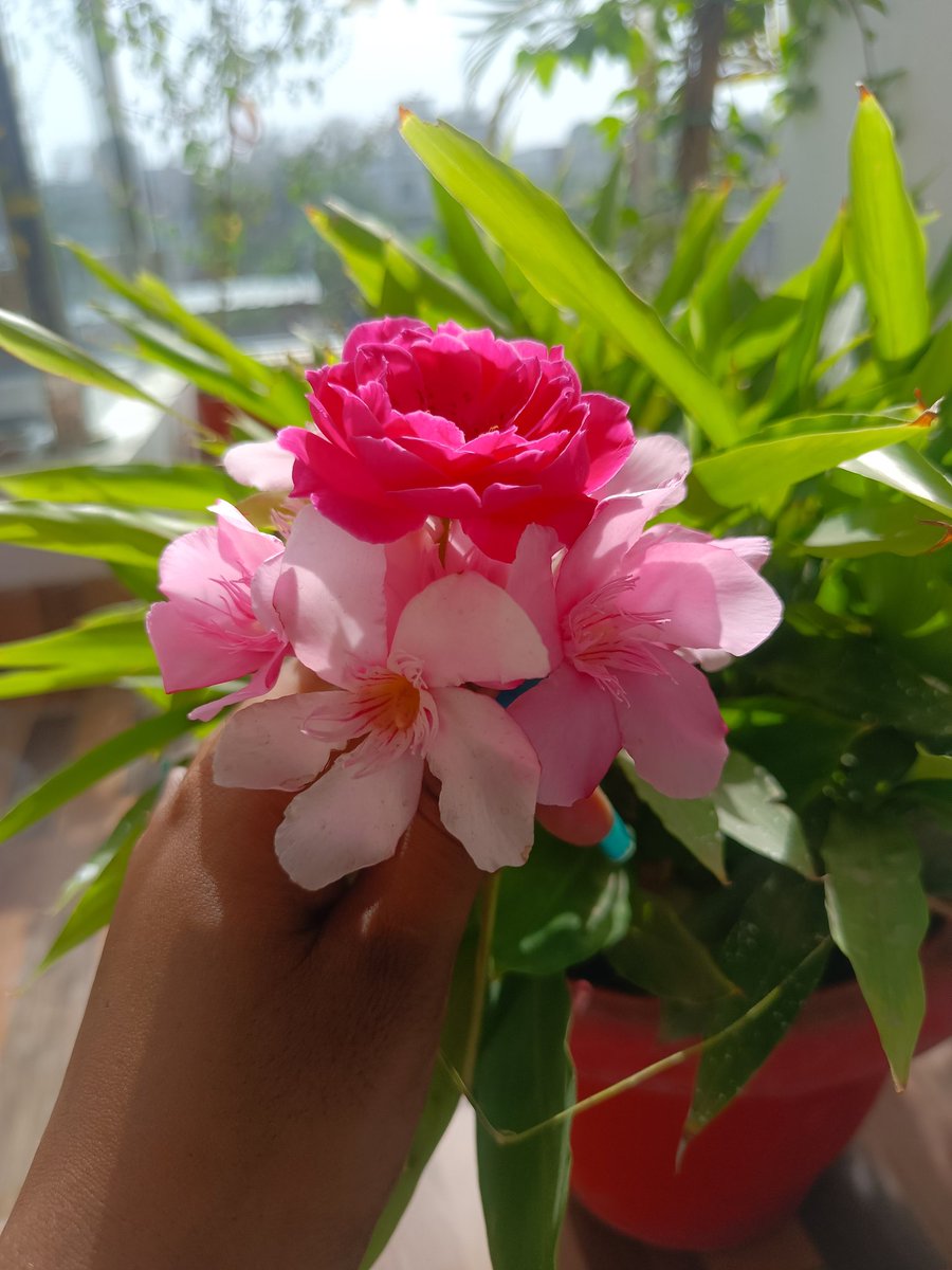 PG36539914's tweet image. यकीं नहीं है मगर, आज भी ये लगता है..
मेरी तलाश में शायद, कहीं बहार आज भी है....
#springlove