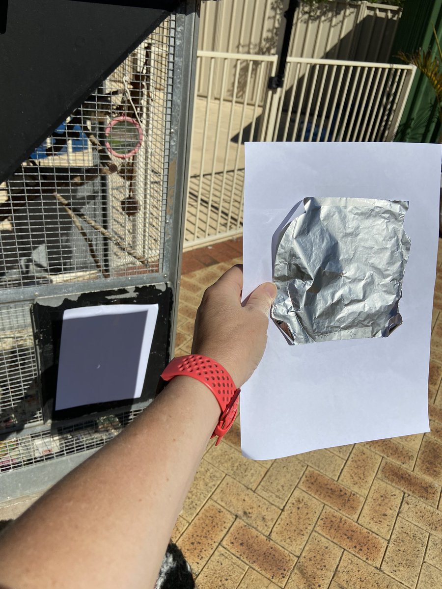 jeffjo1965's tweet photo. Homemade pinhole camera for the win #SolarEclipse2023 https://t.co/Nz2f0Zskkb