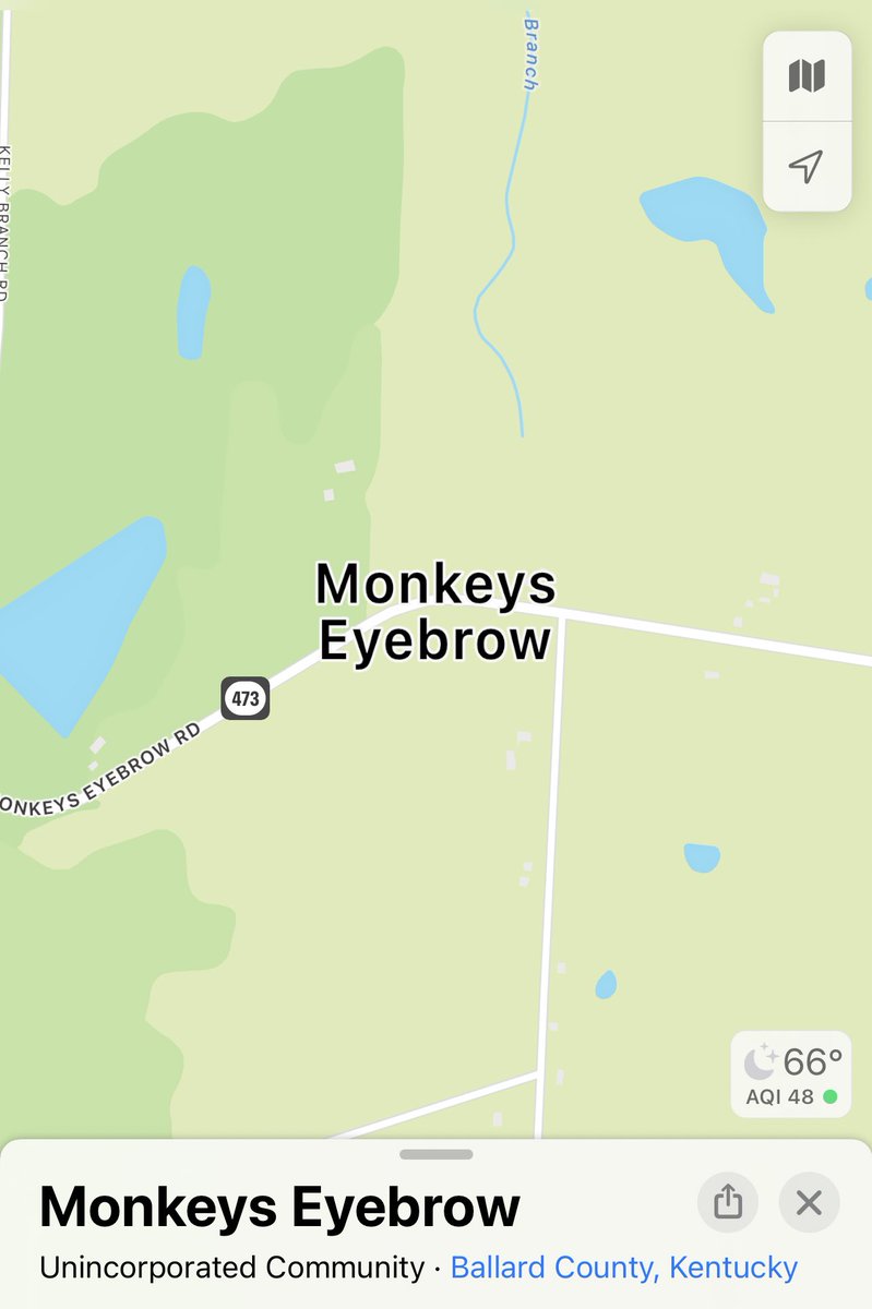 RogerCosmonkey's tweet photo. Oh, you misguided little babydolls, you may think the town of Monkey’s Eyebrow does not exist. But I assure you it does. https://t.co/JcdQTYKnhC