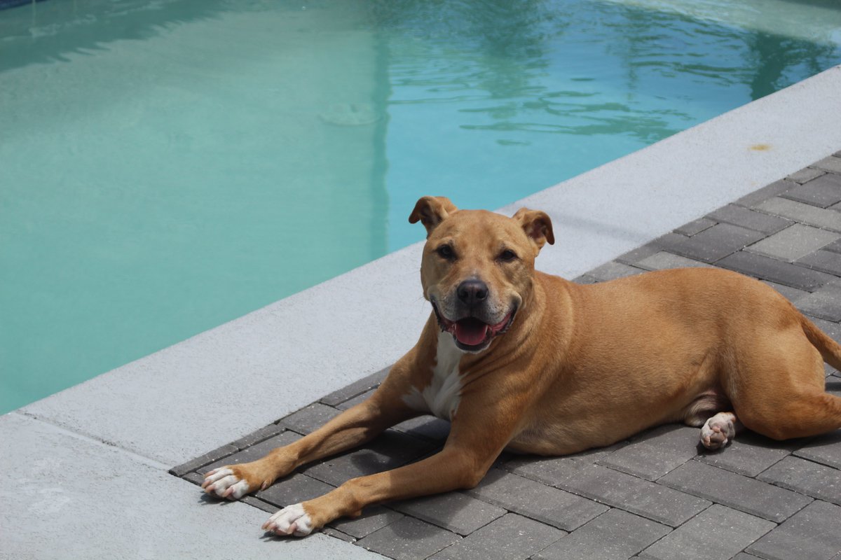 JohnesaLing's tweet photo. @phillypaws https://t.co/jDEGgKBnXs