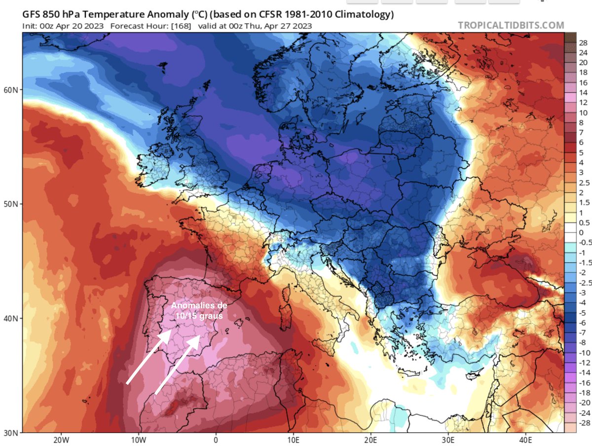 Àlex Van der Laan tweet media