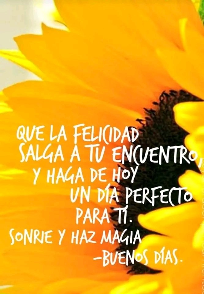 Colonia92792941's tweet photo. @CarnetDLaPatria
@NicolasMaduro
@MSVEnLinea 
@Mippcivzla

Si te regalo para ti 

#GestaIndependentista https://t.co/aO36sDm48u