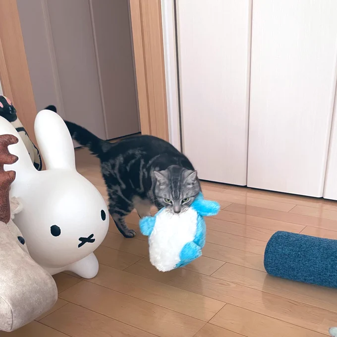 この上に乗せてたぬいぐるみは全部落として懲らしめてました 