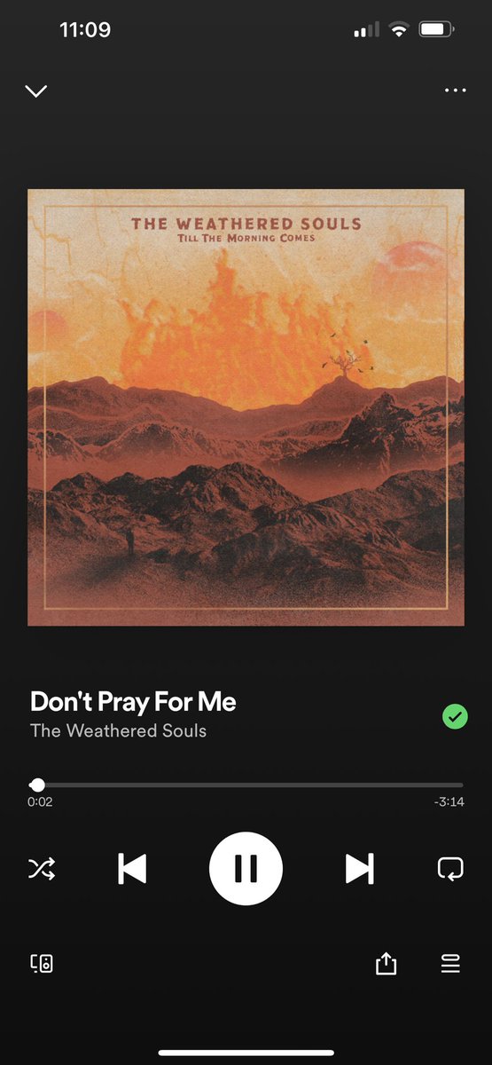 THE WEATHERED SOULS tweet media