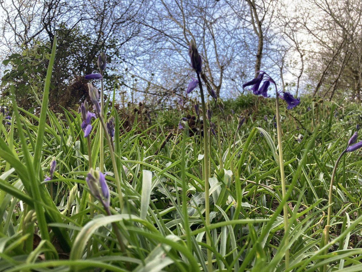 Morning! Bore da! You can follow Erw Deg Glamping on instagram for more pictures and information - search for @erwdegglamping