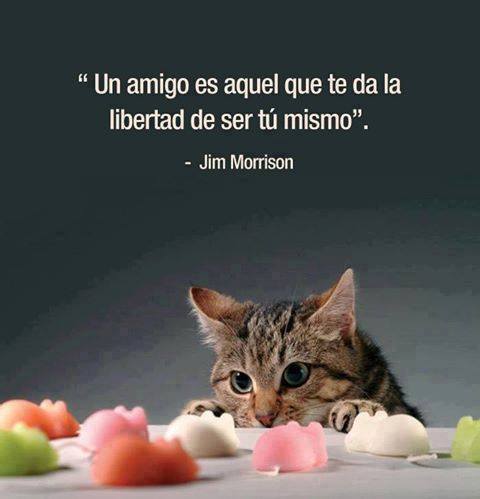 VicenteLaparra's tweet photo. La amistad https://t.co/PswMco91bc