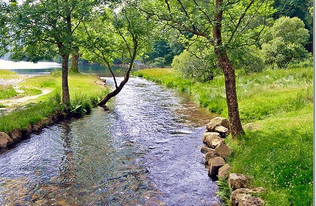 TheEniggma's tweet image. we can turn riparian lands, wetlands &amp;amp; other water catchment areas as protected areas &amp;amp; put them as tourist sites to save them from grabbing, misuse &amp;amp; dying.

#SDG6Kenya
#UNWater2023Conference