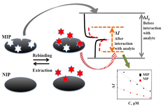 Sensors_MDPI's tweet image. #highlycitedpaper
Electrochemically Deposited Molecularly Imprinted Polymer-Based Sensors
mdpi.com/1424-8220/22/3…
#Biosensors #Immunosensors