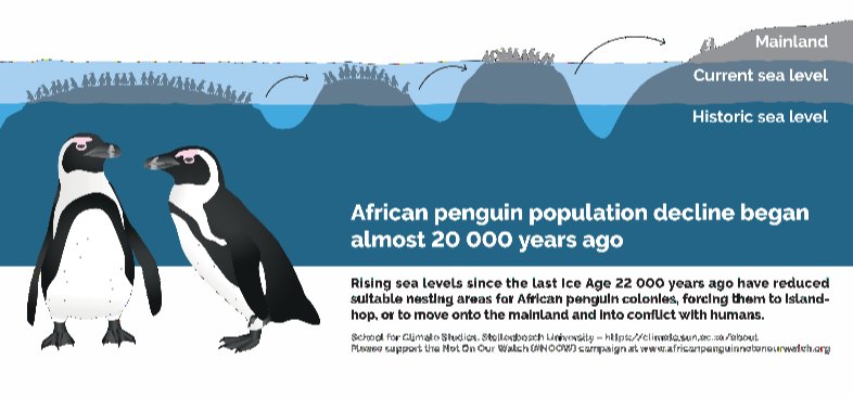Heath Beckett (@heathbeckett) on Twitter photo A slight departure from fire and savanna ecology, here's our paper on African Penguins. Investigating the changes in potential nesting habitats off the coast of Southern Africa over the last 22 000 years
<a href="/ClimateSchoolSU/">School for Climate Studies Stellenbosch University</a> <a href="/vonderHeydenlab/">Sophie von der Heyden</a> <a href="/MatiesResearch/">Research at Stellenbosch University</a>
tandfonline.com/doi/abs/10.298… A slight departure from fire and savanna ecology, here's our paper on African Penguins. Investigating the changes in potential nesting habitats off the coast of Southern Africa over the last 22 000 years
<a href="/ClimateSchoolSU/">School for Climate Studies Stellenbosch University</a> <a href="/vonderHeydenlab/">Sophie von der Heyden</a> <a href="/MatiesResearch/">Research at Stellenbosch University</a>
tandfonline.com/doi/abs/10.298…