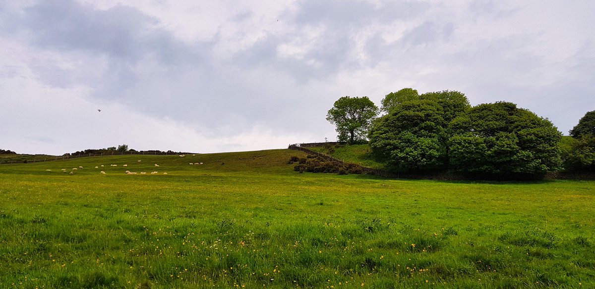 VanVenturesUK's tweet photo. 🕰️ Step Back in Time: Eyam, the Plague Village 🏡

#EyamVillage, #PlagueVillage, #EnglishHistory, #Derbyshire, #PeakDistrict, #HistoricBritain, #TravelPhotography, #HiddenGems, #Resilience, #TimeTravel #VanLife #HomeIsWhereYouParkIt #VanLifeDiaries #VanLifeExplorers https://t.co/eLlAGcdqSD