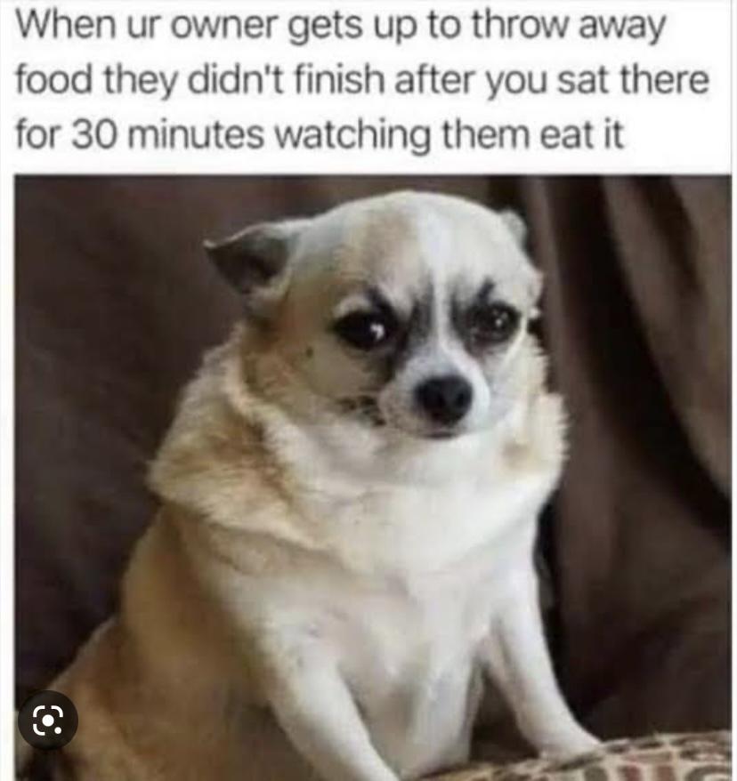 WholesomeMeme's tweet photo. https://t.co/z76I0lUulo