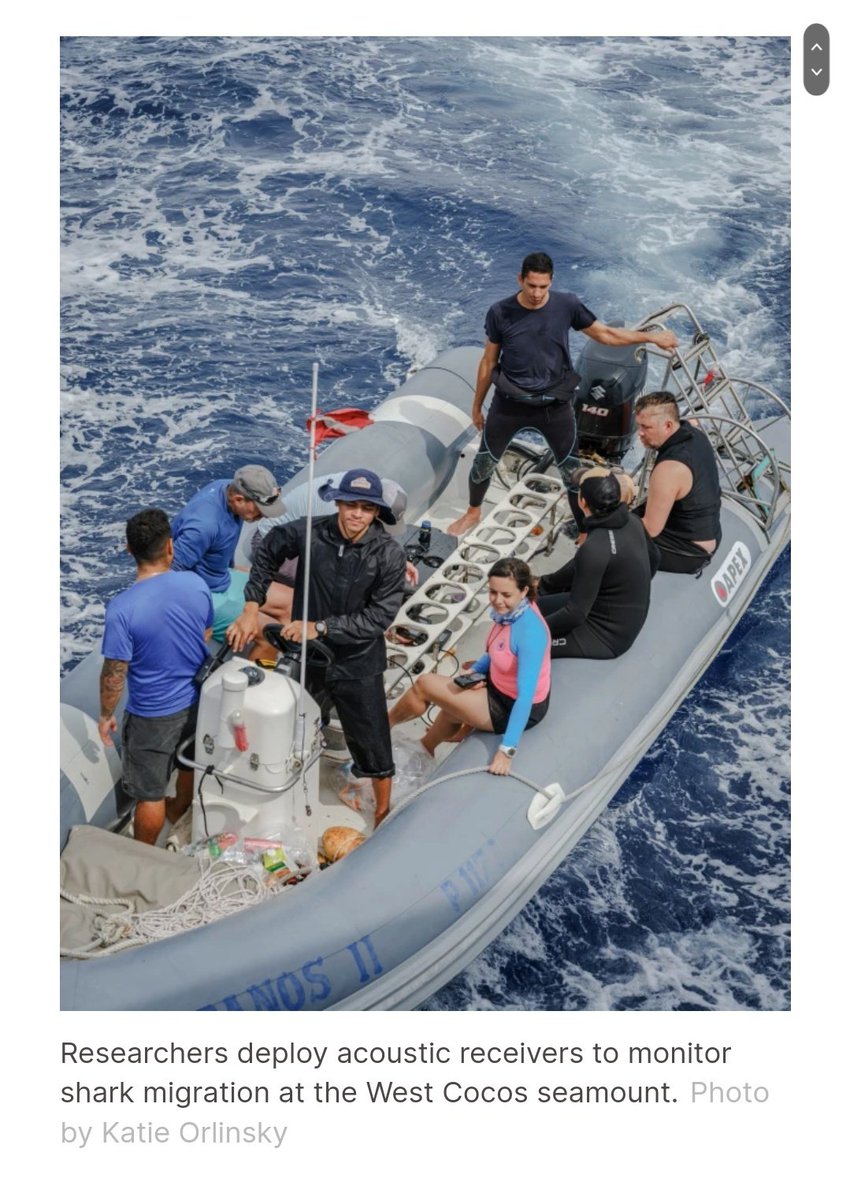 afar.com/magazine/how-c…

Costa Rica Is Making Big Moves to Protect Its Waters. Is It Working?