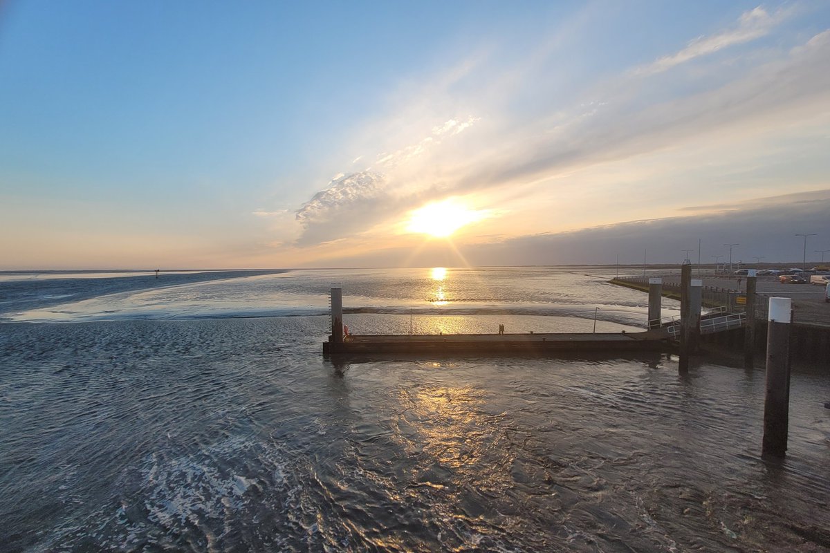 AlleJanHeida's tweet photo. Rots en water training op Ameland, wat een heerlijk begin van de dag https://t.co/XTE3AWdxi4