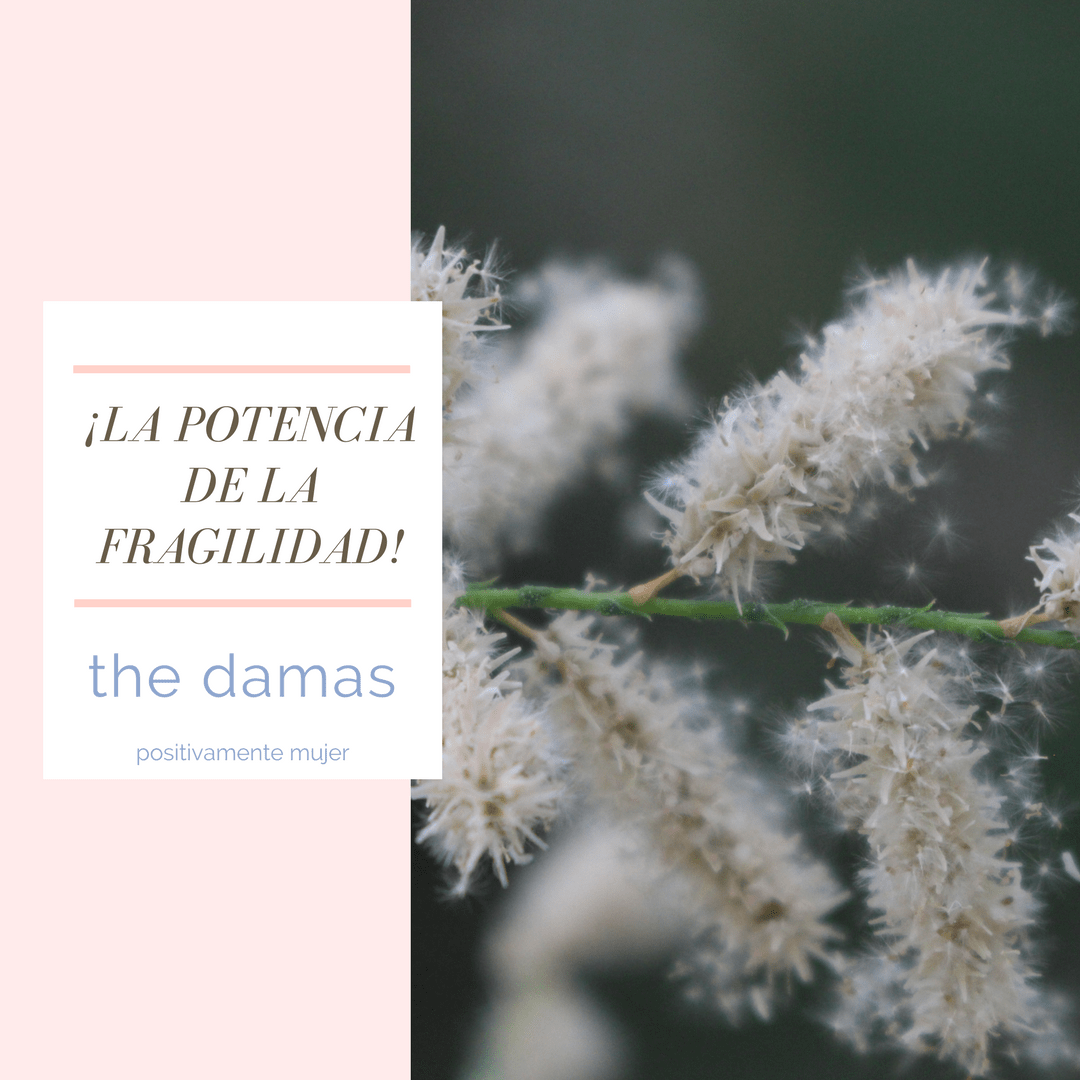 TheDamasBlog's tweet image. La potencia de la fragilidad blgs.co/lqfta1